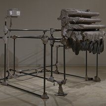 Someone Else’s Life |  Kerlin Gallery 
Anne's Lane South Anne Street, Dublin 2 | Thursday 13 January to Saturday 19 February 2011 | to 