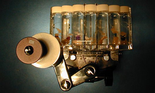 VISCERAL: Symposium | Saturday 29 January 2011 | Science Gallery