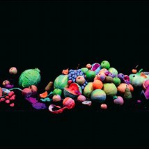 Altered Images |  Crawford Art Gallery 
Emmet Place, Cork | Monday 14 February to Friday 29 April 2011 | to 