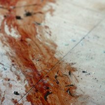 START 2011 |  CIT Wandesford Quay Gallery 
Cork | Wednesday 9 February to Thursday 3 March 2011 | to 