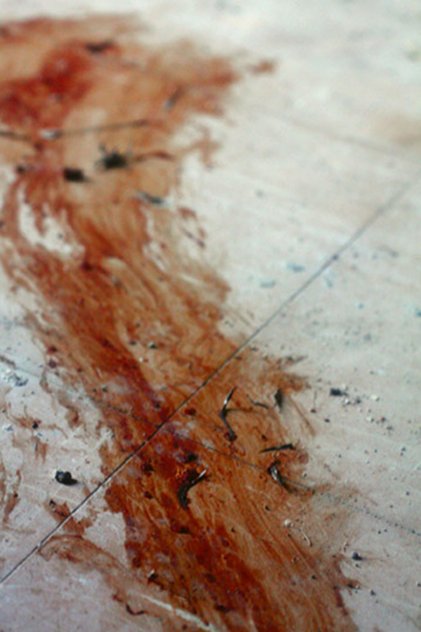 START 2011 | Wednesday 9 February  – Thursday 3 March 2011 | CIT Wandesford Quay Gallery