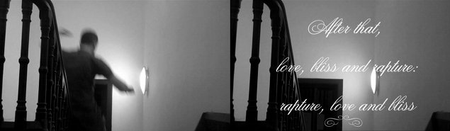 James Merrigan: After that, love bliss and rapture—rapture love and bliss, film still, 9.4 second loop, with text (Flourish Script font), and audio speech, 2011 | James Merrigan: The Truth Spoken as Word | Friday 11 March  – Friday 15 April 2011 | Roscommon Arts Centre