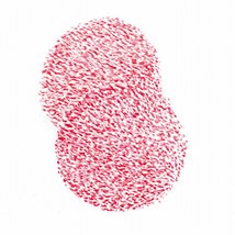 Susan Tiger: 100 Drawings, More or Less |  The Dock 
St. George's Terrace Carrick-on-Shannon, Co. Leitrim | Friday 4 February to Saturday 2 April 2011 | to 