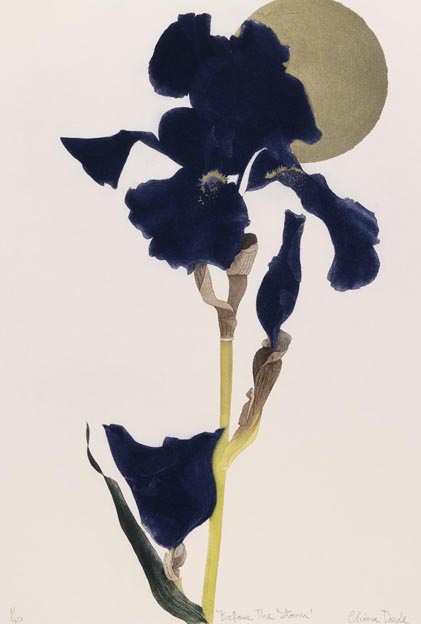 Cliona Doyle: Before the storm, etching with gold leaf | Gallery and Visiting Artists | Friday 15 April  – Thursday 28 April 2011 | Graphic Studio Gallery