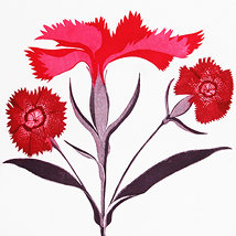 Ruth O’Donnell and Grainne Cuffe: Shades of Light |  Hamilton Gallery 
4 Castle Street Sligo | Thursday 7 April to Saturday 30 April 2011 | to 