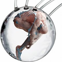 HUMAN+: The Future of our Species |  Science Gallery 
Pearse Street Dublin 2 | Friday 15 April to Friday 24 June 2011 | to 