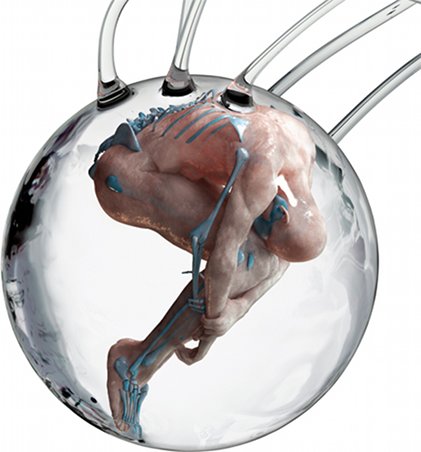 HUMAN+: The Future of our Species | Friday 15 April  – Friday 24 June 2011 | Science Gallery