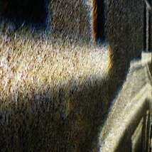 Ackroyd and Harvey: Park Ave + resident |  VOID 
Patrick Street Derry BT48 7EL | Tuesday 31 May to Friday 15 July 2011 | to 