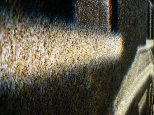 Ackroyd and Harvey: Park Ave + resident | Tuesday 31 May  – Friday 15 July 2011 | VOID