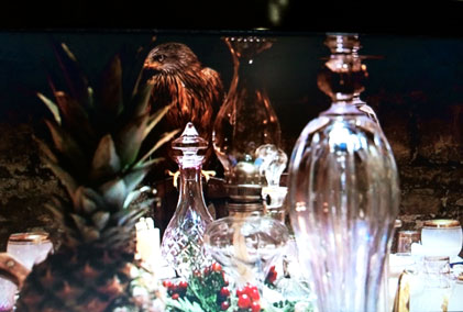 Bridget O'Gorman: Human/Nature (Grace), Video Still, 2011 | Bridget O’Gorman: Calling 059… | Friday 10 June  – Sunday 21 August 2011 | VISUAL Centre for Contemporary Art