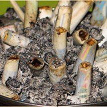 Terry Blake & Nevan La Hart: A 2 Bit Part-time Amateur Production |  Triskel Arts Centre 
14A Tobin Street, Cork City | Saturday 11 June to Saturday 30 July 2011 | to 