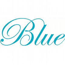 Bluebirds |  Rubicon Gallery 
10 St. Stephen's Green Dublin 2 | Saturday 16 July to Wednesday 31 August 2011 | to 
