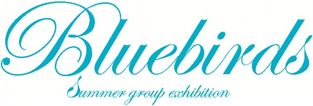 Bluebirds | Saturday 16 July  – Wednesday 31 August 2011 | Rubicon Gallery