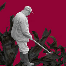 Summer Show |  Sarah Walker Gallery 
The Pier Castletownbere Co. Cork | Saturday 30 July to Saturday 20 August 2011 | to 