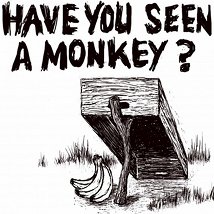 Have You Seen a Monkey? |   | Friday 12 August to Sunday 14 August 2011 | to 