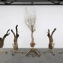 Siobhán Hapaska: a great miracle needs to happen there |  Kerlin Gallery 
Anne's Lane South Anne Street, Dublin 2 | Friday 26 August to Saturday 1 October 2011 | to 