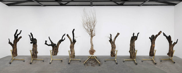 Siobhán Hapaska: a great miracle needs to happen there, 2011, olive trees “Olea europaea”, lead-free solder, brass, steel, cast iron, 9 elements, dimensions of each vary | Siobhán Hapaska: a great miracle needs to happen there | Friday 26 August  – Saturday 1 October 2011 | Kerlin Gallery