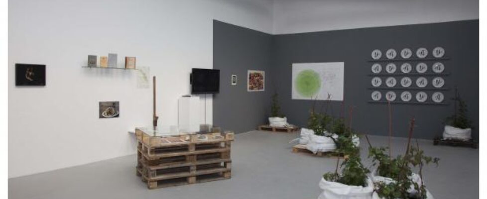 deirdre_omahony_curated_installation_with_frances_whitehead_potato_dispora_map_ceramic_potato_batata_plates_and_spud_artifacts_and_objects