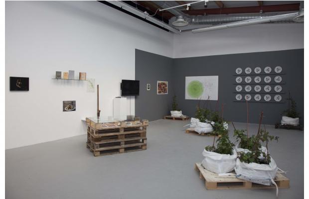 Burren College of Art