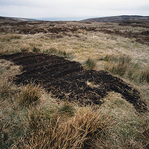 Willie Doherty: DISTURBANCE |   | Monday 5 September 2011 to Sunday 15 January 2012 | to 