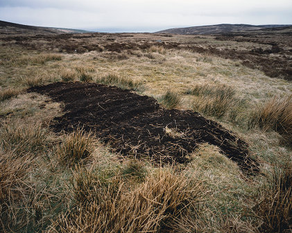 Willie Doherty: Disturbance | Willie Doherty: DISTURBANCE | Monday 5 September 2011  – Sunday 15 January 2012 | 