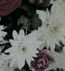 Still |  Peppercanister Gallery 
3 Herbert Street Dublin 2 | Friday 9 September to Saturday 8 October 2011 | to 