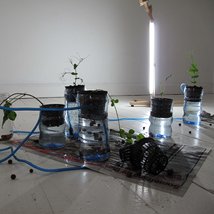 Christine Mackey: SEED MATTER and ‘other’ stories |  Butler Gallery 
Evans’ Home John’s Quay, Kilkenny | Saturday 22 October to Sunday 18 December 2011 | to 