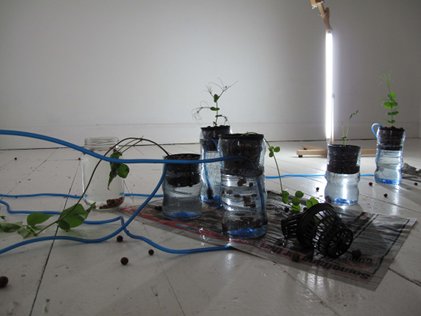 Christine Mackey: SEED MATTER and ‘other’ stories | Saturday 22 October  – Sunday 18 December 2011 | Butler Gallery