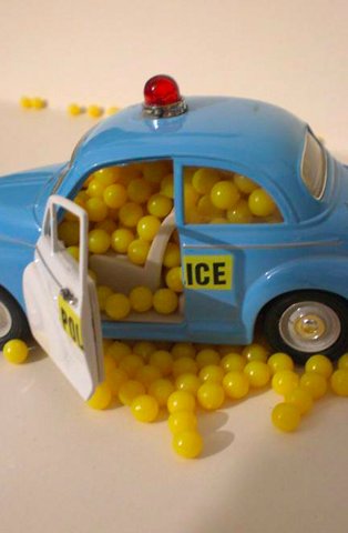 Jim Doyle | Thursday 6 October  – Tuesday 11 October 2011 | bio.space 033