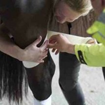 Quantified Self |  The LAB 
Foley Street, Dublin 1 | Wednesday 19 October to Saturday 3 December 2011 | to 