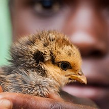 Grow |  Photo Museum Ireland 
Meeting House Square Temple Bar, Dublin 2 | Tuesday 8 November to Sunday 20 November 2011 | to 