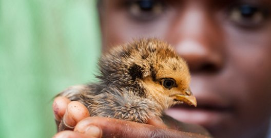 Photo: Sean Curtin | Grow | Tuesday 8 November  – Sunday 20 November 2011 | Photo Museum Ireland