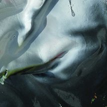 Amharc Fhine Gall VIII: Unknown Knowns |  Draíocht 
The Blanchardstown Centre Dublin 15 | Friday 18 November 2011 to Saturday 25 February 2012 | to 