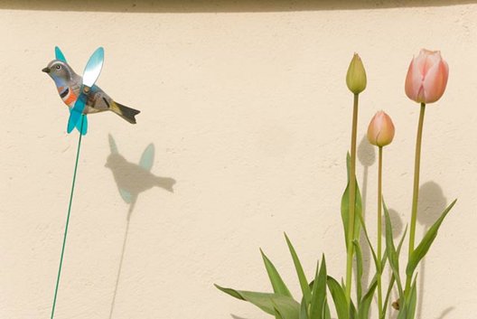 Miriam O’Connor: Attention Seekers | Friday 6 January  – Sunday 12 February 2012 | 