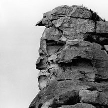 Location |  Occupy Space 
Thomas Street Limerick  | Thursday 12 January to Saturday 4 February 2012 | to 