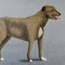 Stephen McKenna PPRHA |  Royal Hibernian Academy 
15 Ely Place, Dublin 2 | Friday 13 January to Sunday 29 April 2012 | to 