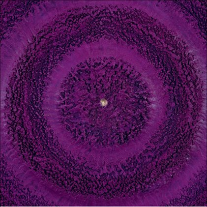 Helen Comerford: Alpha to Omega | Saturday 10 March  – Sunday 22 April 2012 | Butler Gallery