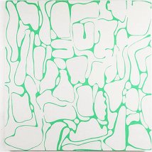 Ronnie Hughes: Zygotic Tendencies |  Rubicon Gallery 
10 St. Stephen's Green Dublin 2 | Saturday 31 March to Saturday 19 May 2012 | to 