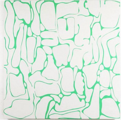 Ronnie Hughes: Zygotic Tendencies | Saturday 31 March  – Saturday 19 May 2012 | Rubicon Gallery