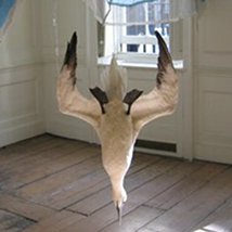 Time out of Mind |  IMMA @ NCH 
Earlsfort Terrace Dublin 2 | Thursday 31 May to Sunday 2 September 2012 | to 