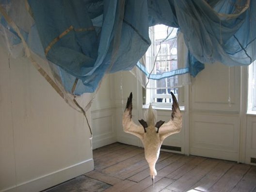 Dorothy Cross: Parachute, 2005, dimensions variable, parachute and gannet, Purchase, 2005, Collection Irish Museum of Modern Art | Time out of Mind | Thursday 31 May  – Sunday 2 September 2012 | IMMA @ NCH