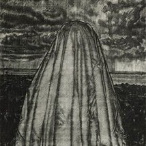 Gary Coyle: Hello Darkness |  Kevin Kavanagh 
Chancery Lane Dublin 8 | Friday 1 June to Saturday 30 June 2012 | to 