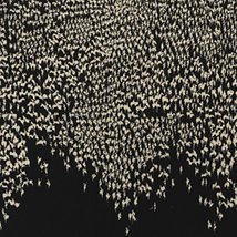 Important Irish Art |  Whyte's Auctioneers 
Fine Art & Collectibles Auctioneers & Valuers 38 Molesworth Street Dublin 2 | Monday 21 May 2012 | to 