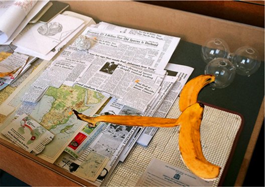 Simon Fujiwara: The Museum of Incest, 2009 - Mixed media installation, Courtesy of Neue Alte Brücke, Private Collection Kortrijk, Belgium | Simon Fujiwara:  The Museum of Incest | Friday 11 May  – Wednesday 27 June 2012 | Crawford Art Gallery