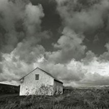 Amelia Stein: The Big Sky and The Palm House |  Oliver Sears Gallery 
29 Molesworth Street Dublin 2 | Thursday 21 June to Friday 27 July 2012 | to 