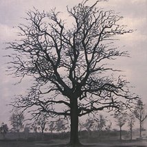 Gavin O’Curry: Recent Paintings |  Peppercanister Gallery 
3 Herbert Street Dublin 2 | Thursday 5 July to Saturday 28 July 2012 | to 