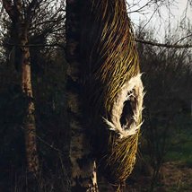 Sculpture In Context 2012 |  National Botanic Gardens 
Glasnevin Dublin 9 | Thursday 6 September to Friday 19 October 2012 | to 