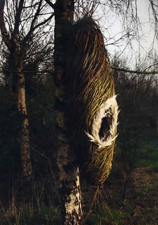 Marron Breda | Sculpture In Context 2012 | Thursday 6 September  – Friday 19 October 2012 | National Botanic Gardens