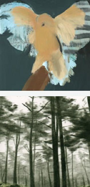 Top Image: Swoop, Elizabeth Archbold, RUA RED Winter Open 2012; Bottom Image: Undergrowth, Orla Bates, RUA RED Winter Open 2012 | Open Call for Autumn Exhibition 2012 |   closing date for entries 27 July | Rua Red