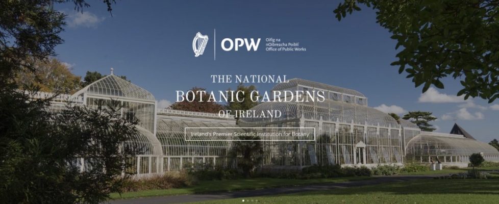 Screenshot 2020-06-02 at 21.26.50